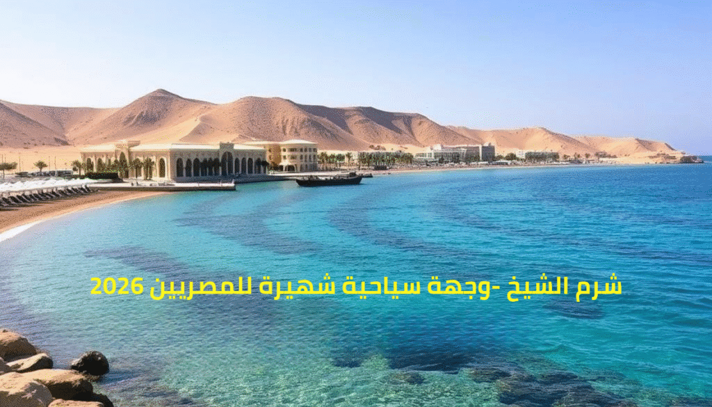 عروض حجز الفنادق 6